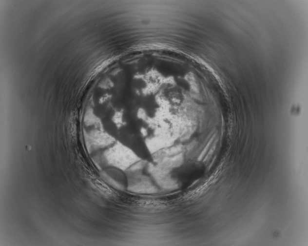 X0000097910921200804041458