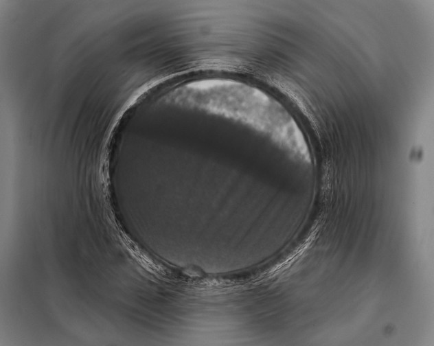 X0000097910923200804041458