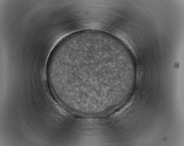 X0000097910924200804041458