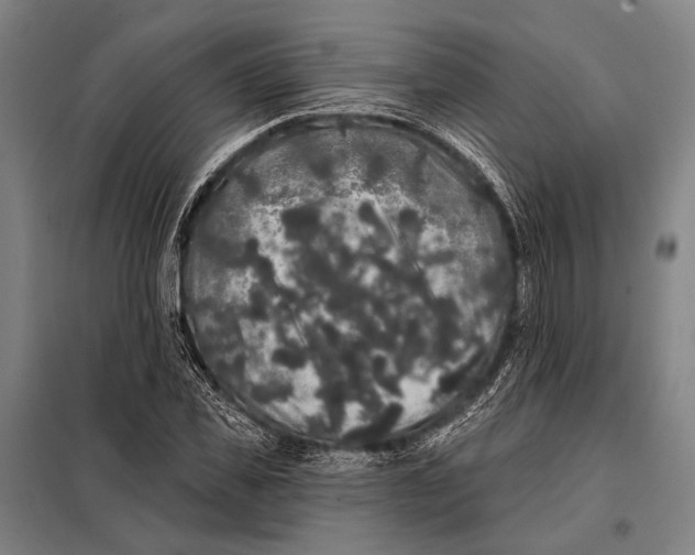 X0000097910925200804041458