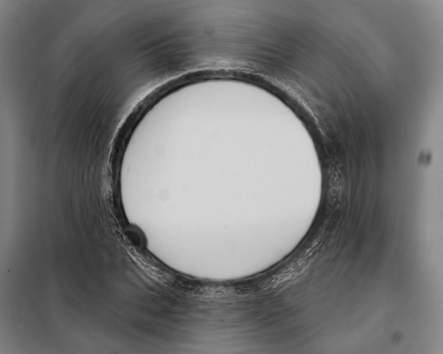 X0000097910927200804041458