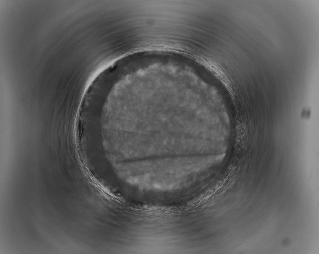 X0000097910928200804041458