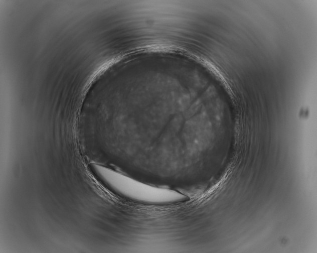 X0000097910930200804041458