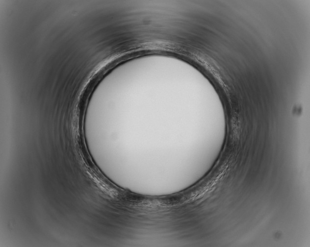 X0000097910931200804041458