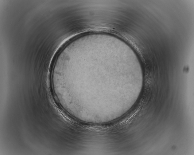 X0000097910932200804041458