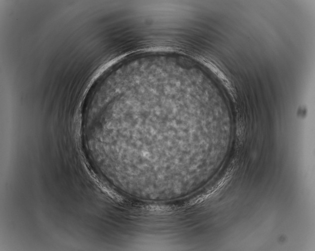 X0000097910933200804041458