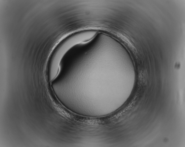 X0000097910934200804041458