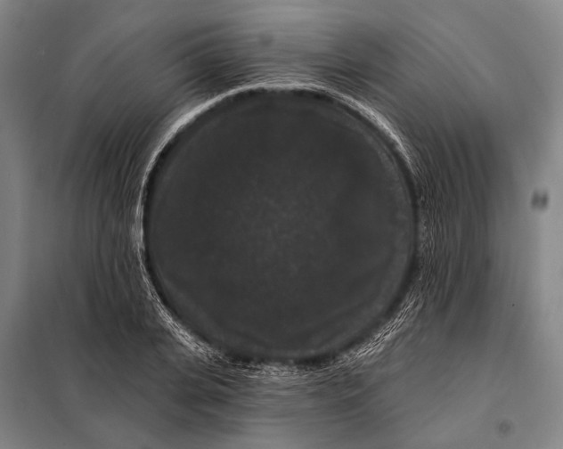 X0000097910935200804041458