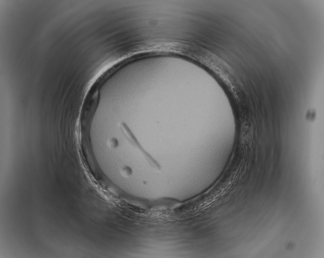 X0000097910936200804041458