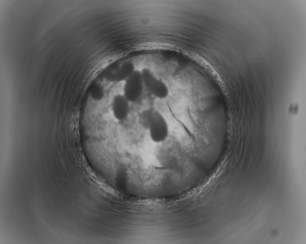 X0000097910937200804041458