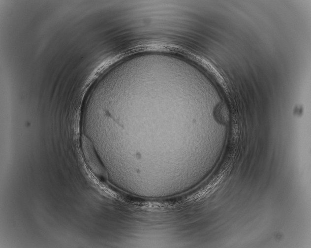 X0000097910938200804041458