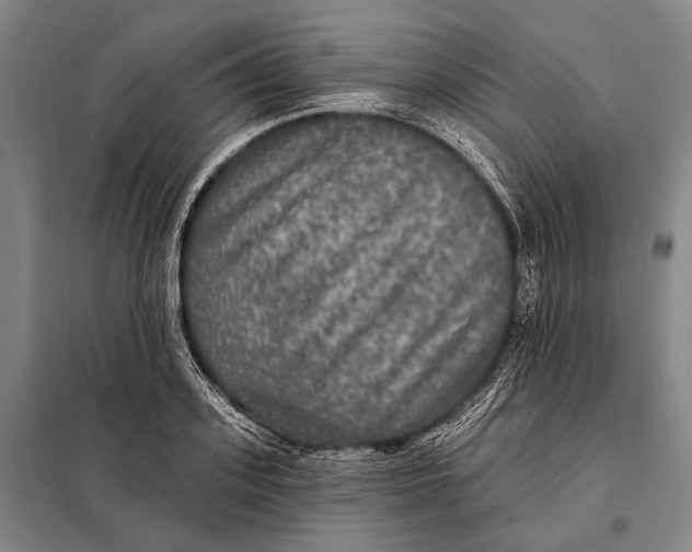 X0000097910939200804041458