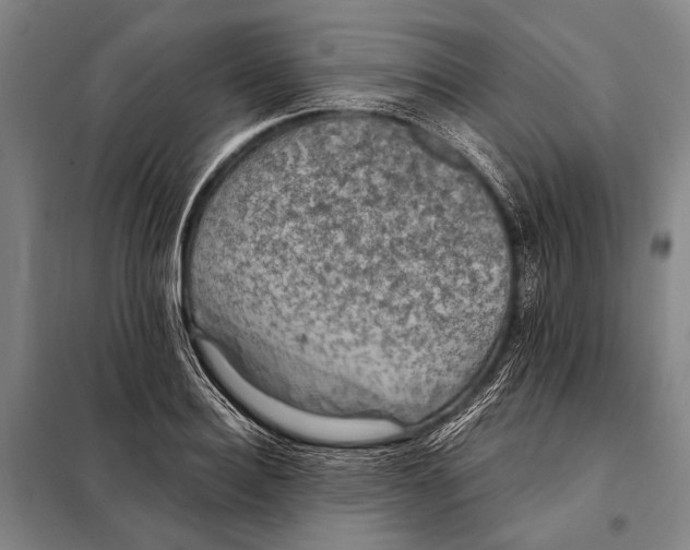 X0000097910940200804041458