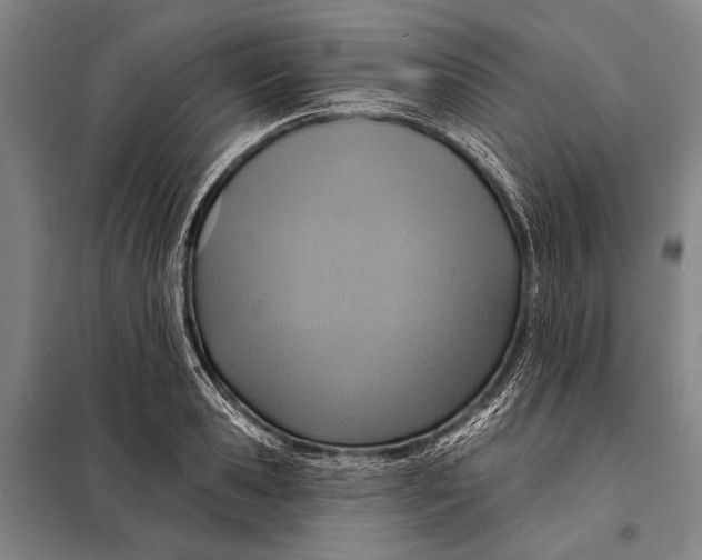 X0000097910941200804041458