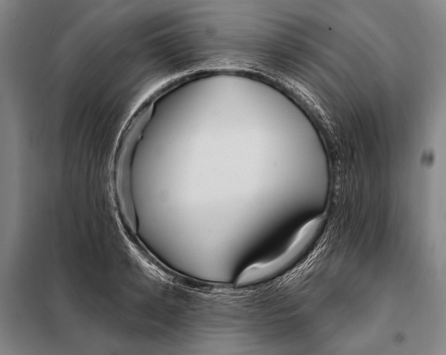 X0000097910942200804041458