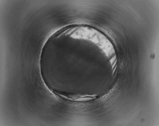 X0000097910943200804041458