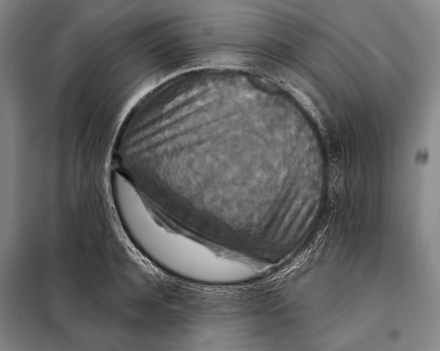 X0000097910944200804041458