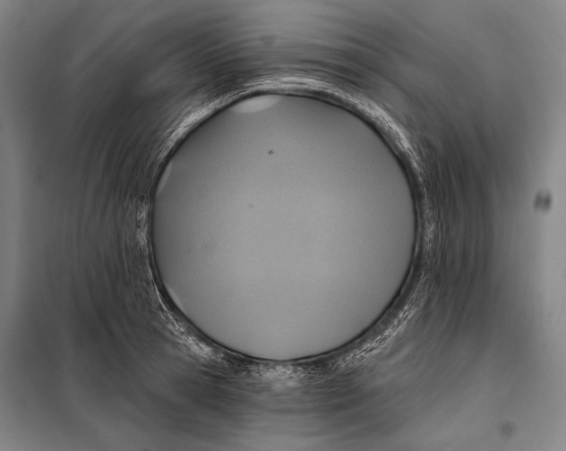 X0000097910945200804041458