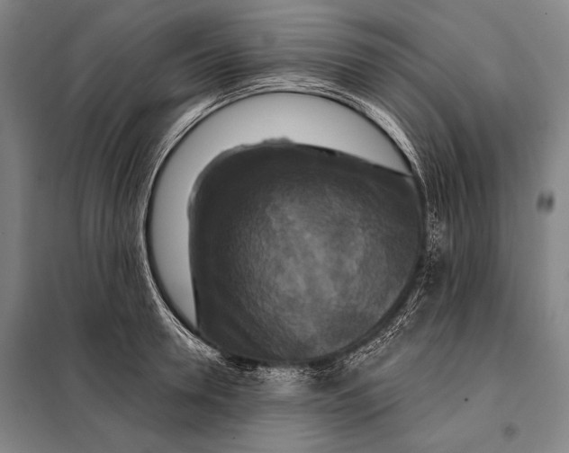 X0000097910946200804041458