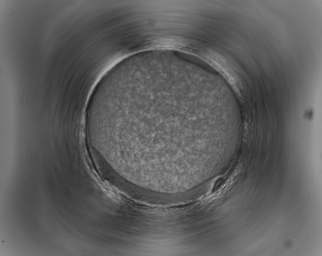 X0000097910948200804041458