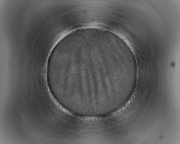 X0000097910949200804041458