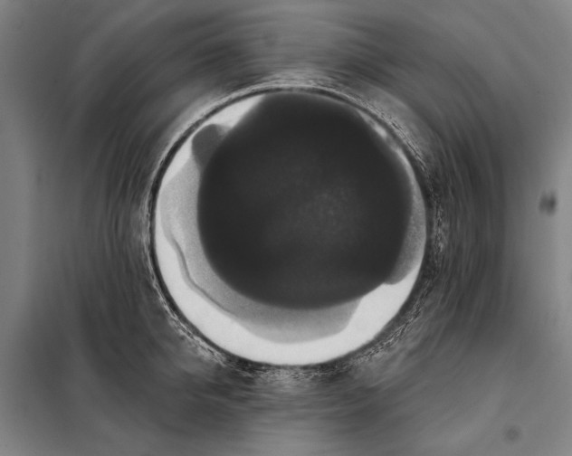 X0000097910950200804041458