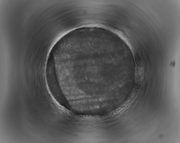 X0000097910951200804041458