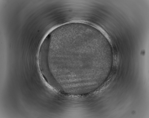 X0000097910955200804041458