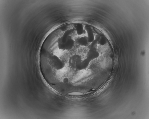 X0000097910957200804041458