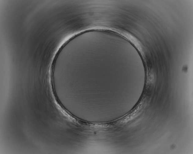 X0000097910958200804041458