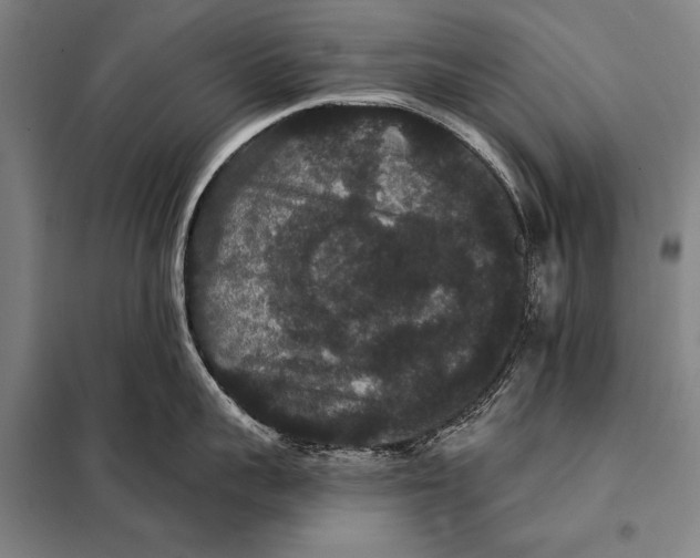 X0000097910959200804041458