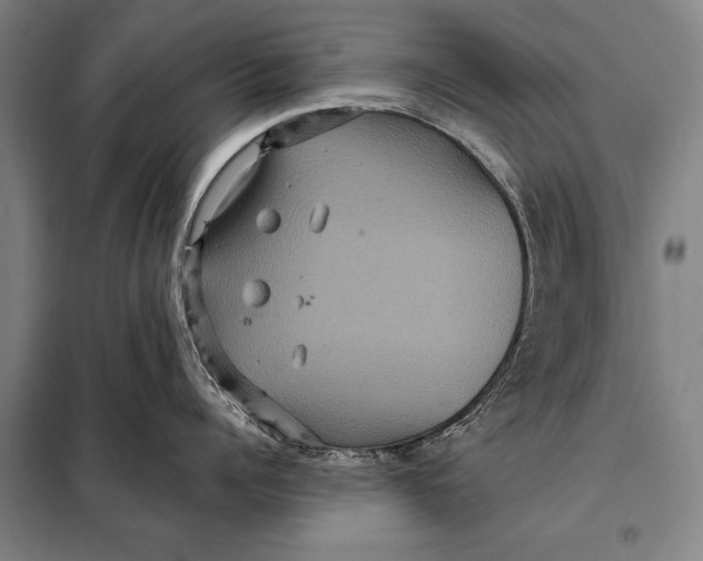 X0000097910960200804041458