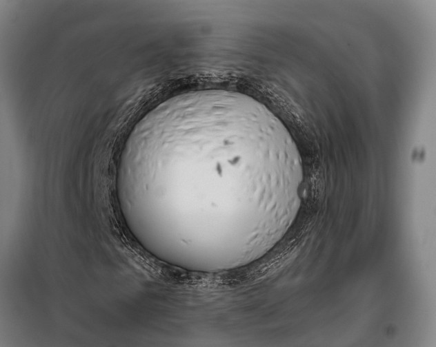 X0000097910961200804041458