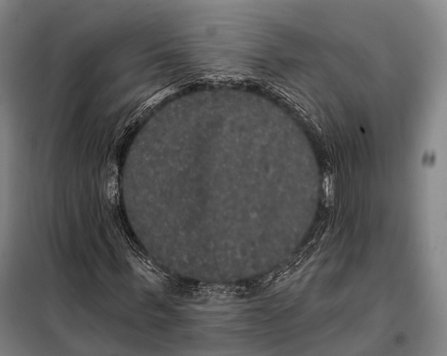 X0000097910963200804041458