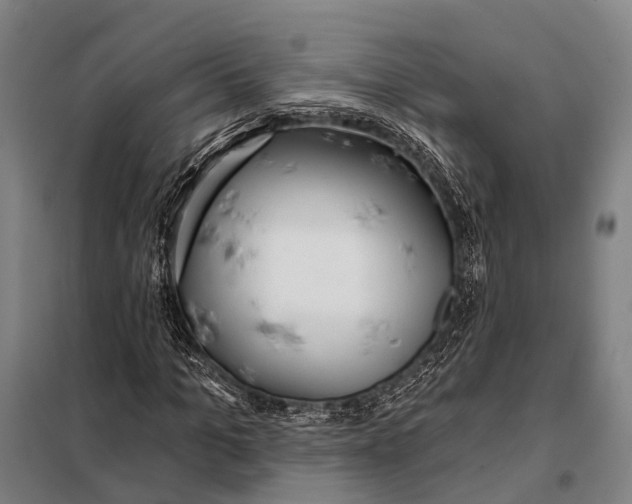 X0000097910965200804041458