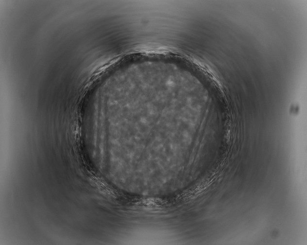 X0000097910966200804041458