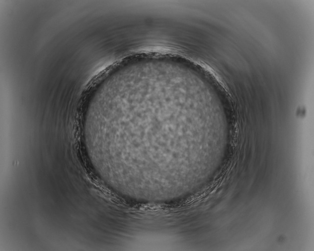 X0000097910967200804041458