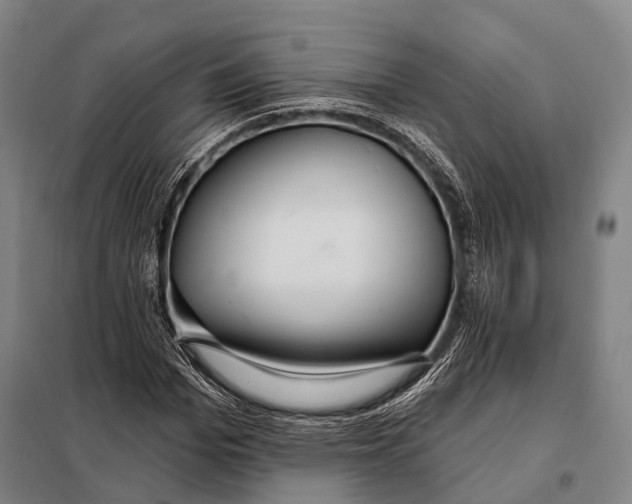 X0000097910969200804041458