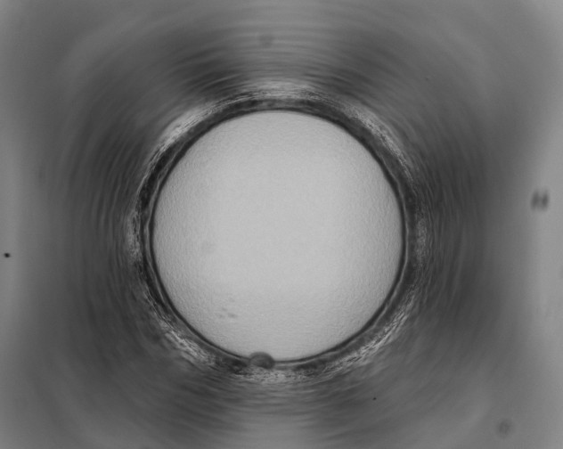 X0000097910970200804041457