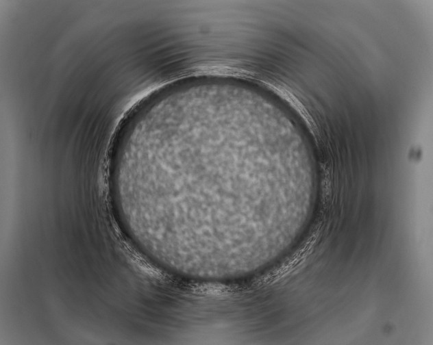 X0000097910971200804041457