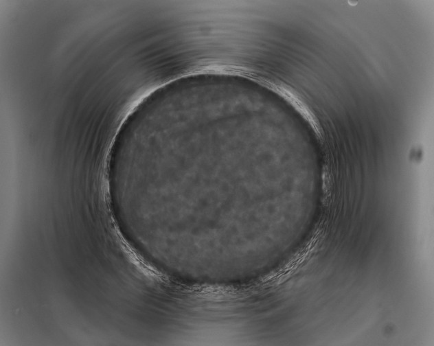 X0000097910972200804041457