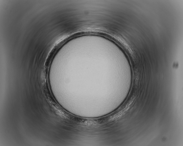 X0000097910974200804041457