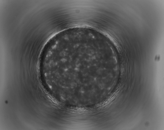 X0000097910975200804041457