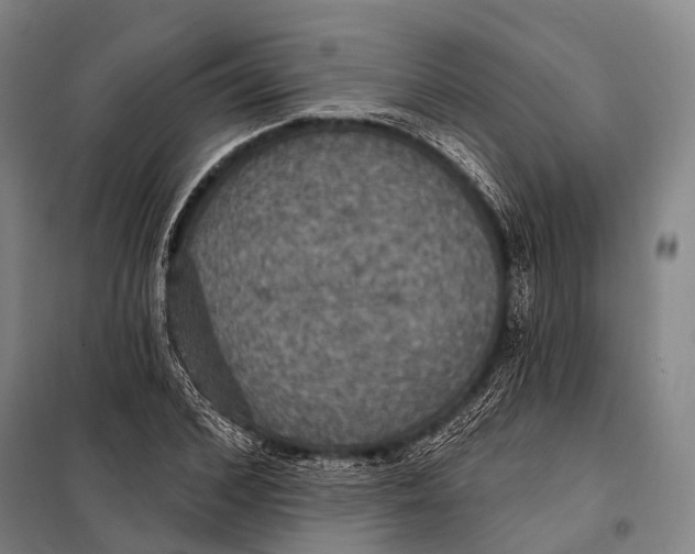 X0000097910976200804041457