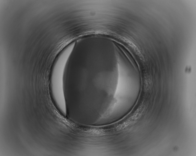 X0000097910977200804041457