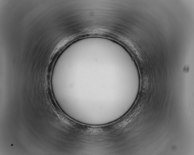 X0000097910978200804041457