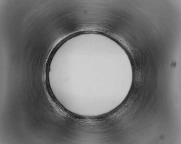 X0000097910980200804041457