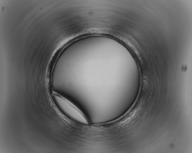 X0000097910981200804041457