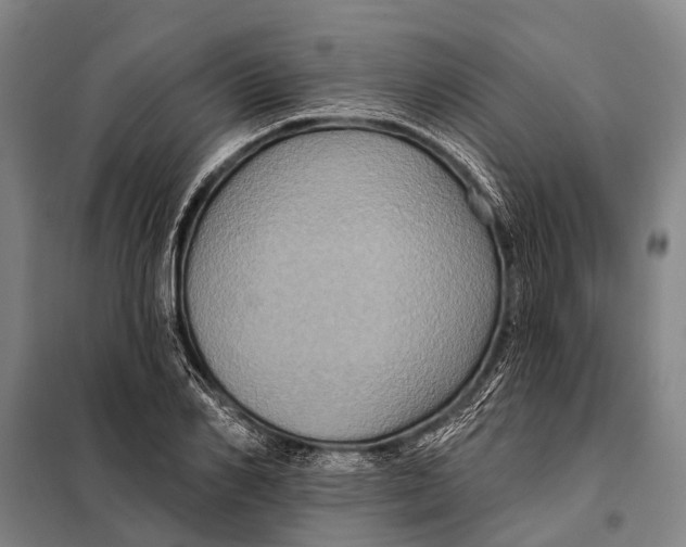 X0000097910982200804041457