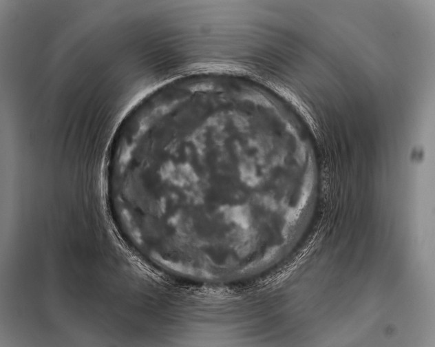 X0000097910983200804041457